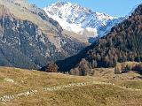 Monte Disgrazia - 014